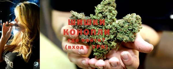 ешки Бронницы
