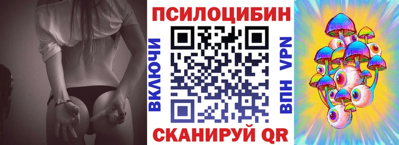Купить  Менделеевск  Галлюциногенные грибы мицелий 